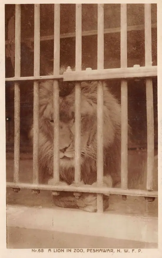 zoo in Peshawar